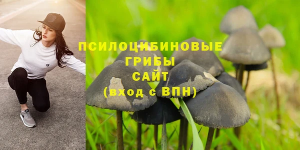 круглые Арсеньев