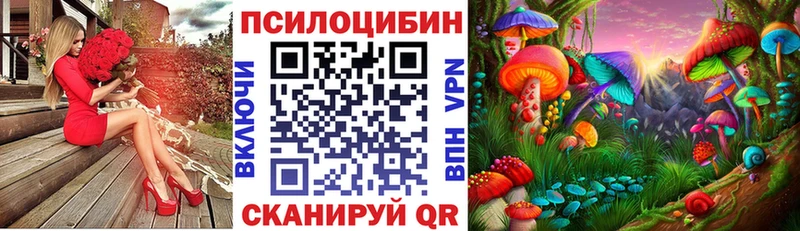 Галлюциногенные грибы Psilocybe  кракен зеркало  Артёмовск  дарнет шоп 